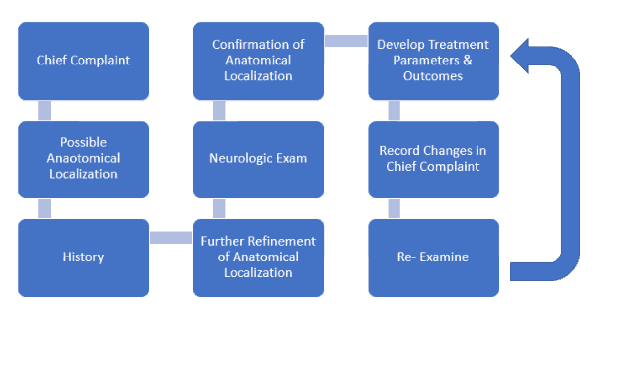 The Diagnostic Path Taught in Functional Neurology Essentials