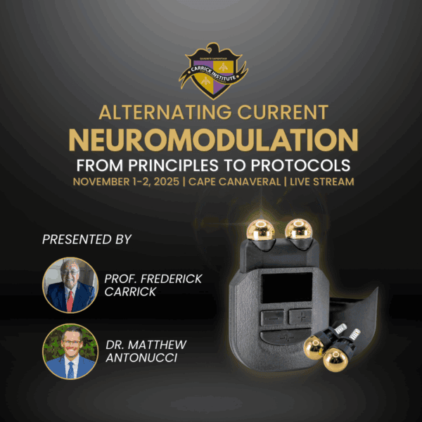 Alternating Current Neuromodulation: From Principles to Protocols